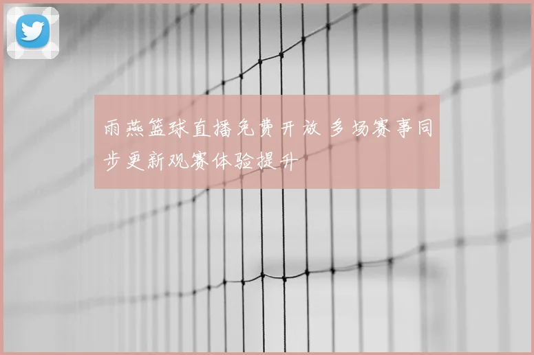 雨燕篮球直播免费开放 多场赛事同步更新观赛体验提升