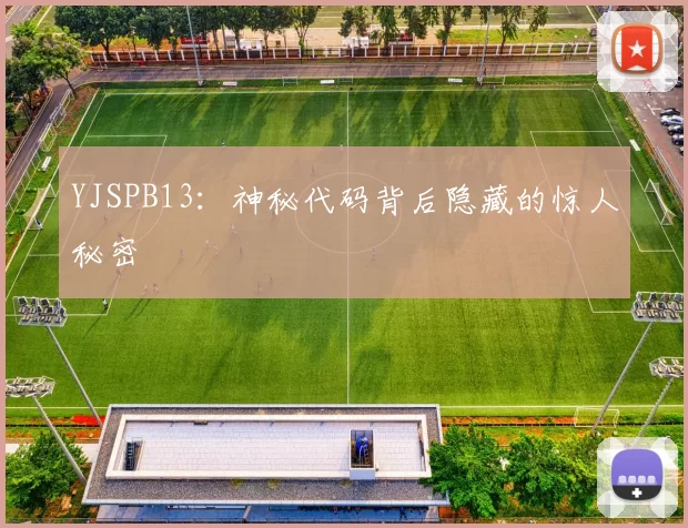 YJSPB13：神秘代码背后隐藏的惊人秘密